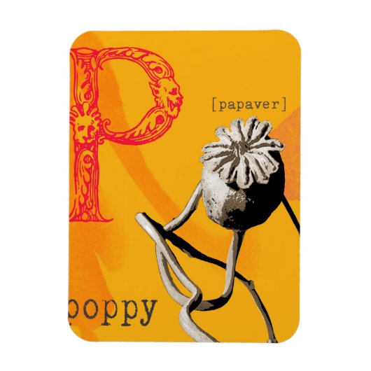 Pはポピー(ケシ)の花のことです マグネット (縦)