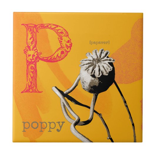 PはPoppy用 タイル (正面)