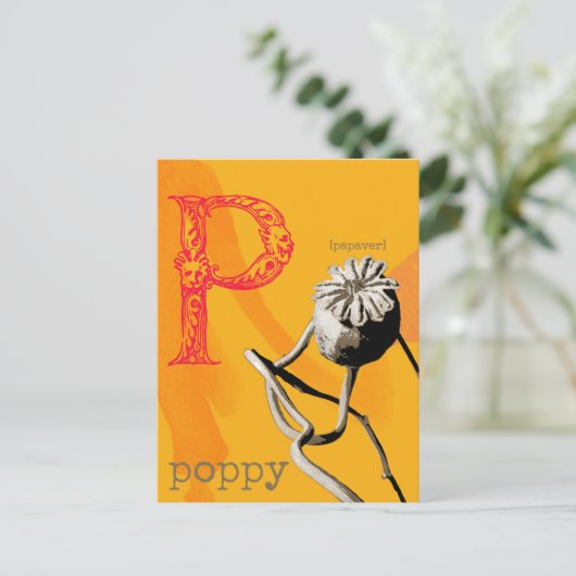 PはPoppy用 ポストカード (スタンド正面)