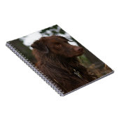 P1フラットランダーサムウェットドッグ ノートブック (右側)