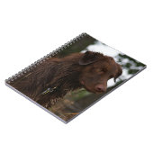 P1フラットランダーサムウェットドッグ ノートブック (左側)