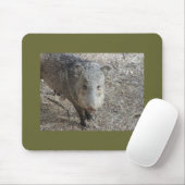 P1010073 Javelinaのmousepad マウスパッド (マウス)