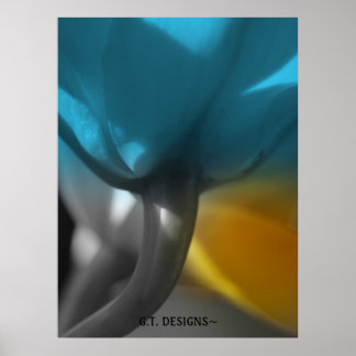 P1016531-1, G.T.デザイン～蘭のビューコレクション ポスター