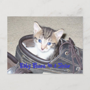 P1020640_153_153,ベビーブルースインアシュー ポストカード