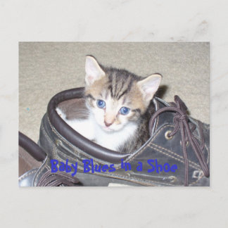 P1020640_153_153,ベビーブルースインアシュー ポストカード