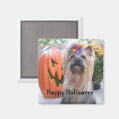 P1080884、ハッピーハローウィン マグネット (正面/裏面)