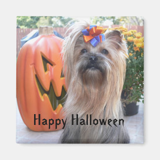 P1080884、ハッピーハローウィン マグネット