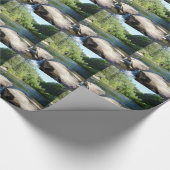 P1090842.JPG ラッピングペーパー (角)