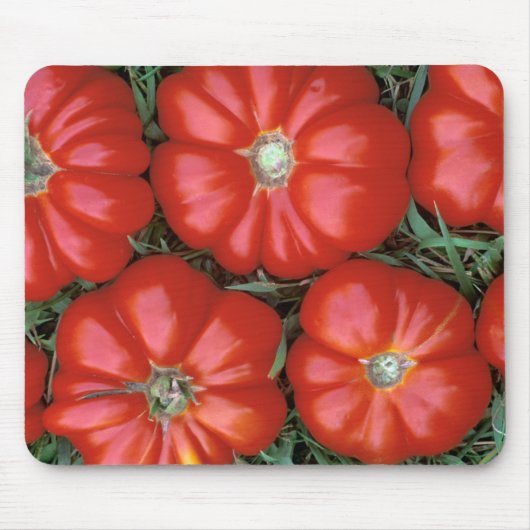 P1950B_Italianのtomatoes-Edit-Edit_Zazzle マウスパッド (正面)