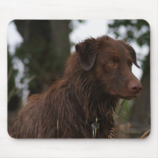 P2レッドドッグサムフラットランドサム マウスパッド (正面)