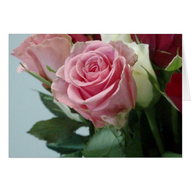 P2130014 (正面横)