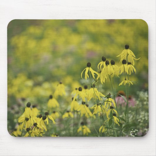 P2526a_yellowのconeflowerのmonet_zazzle マウスパッド (正面)