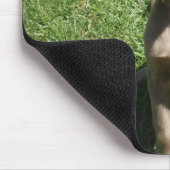 P3091298の愛は長い髪のWeimaranerです マウスパッド (コーナー)