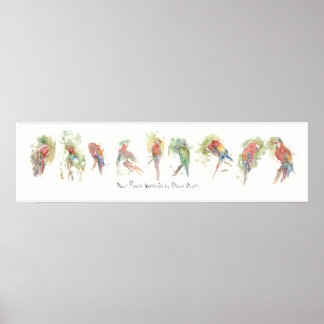 P3, Nine Parrots, Water color by Dennis Boyce ポスター