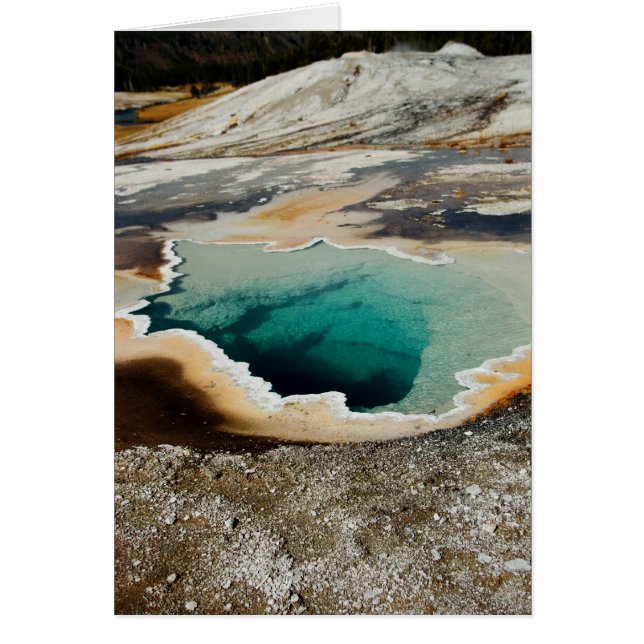 #P4078カード (正面)