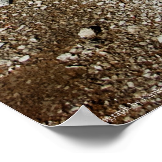 #P4078プリント ポスター (角)