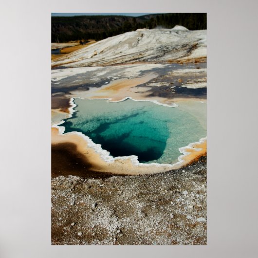 #P4078プリント ポスター (正面)