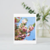 P4240442 ポストカード (スタンド正面)