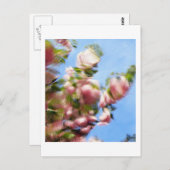 P4240442 ポストカード (正面/裏面)