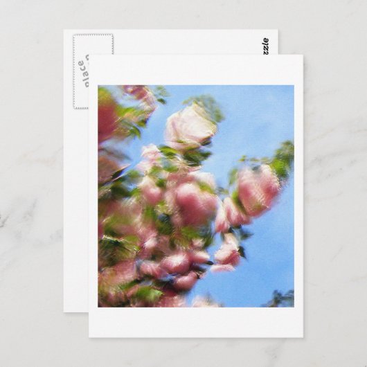 P4240442 ポストカード (正面/裏面)