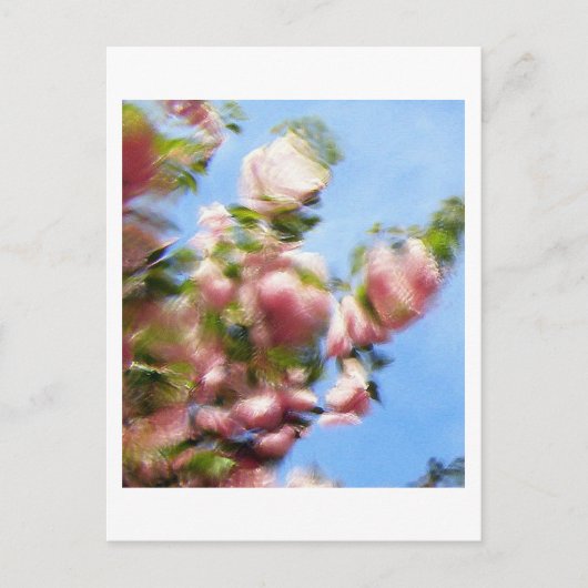 P4240442 ポストカード (正面)