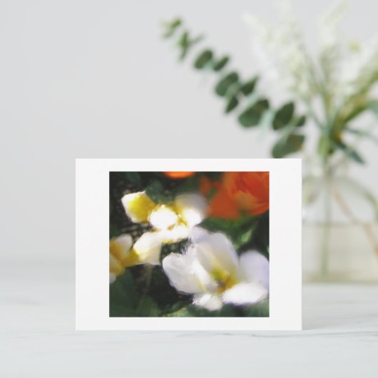 P4290105 ポストカード (スタンド正面)