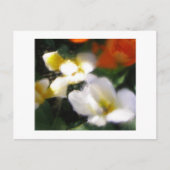 P4290105 ポストカード (正面)