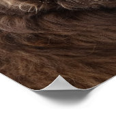 P4 Flatlandersamプロファイル ポスター (角)