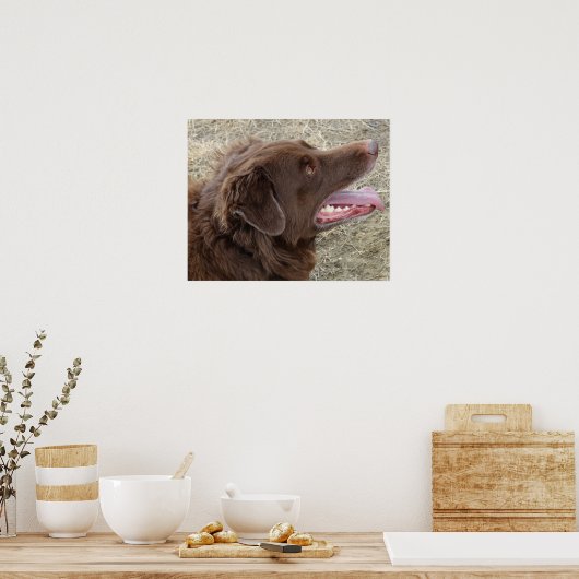 P4 Flatlandersamプロファイル ポスター (キッチン)