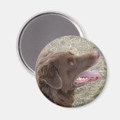 P4 Flatlandersamプロファイル マグネット (正面/裏面)