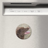 P4 Flatlandersamプロファイル マグネット (インサイチュ (食洗機))