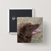 P4 Flatlandersamプロファイル 缶バッジ (正面&裏面)