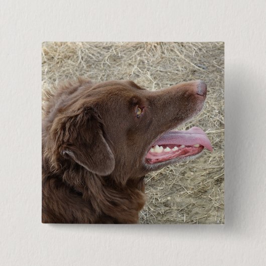 P4 Flatlandersamプロファイル 缶バッジ (正面)