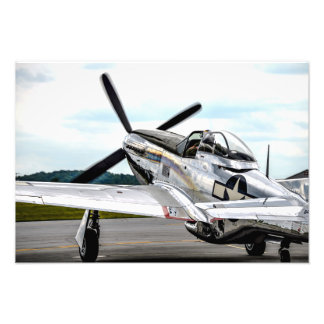 P51マルチングカラー フォトプリント           