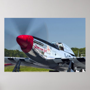 P51 ポスター
