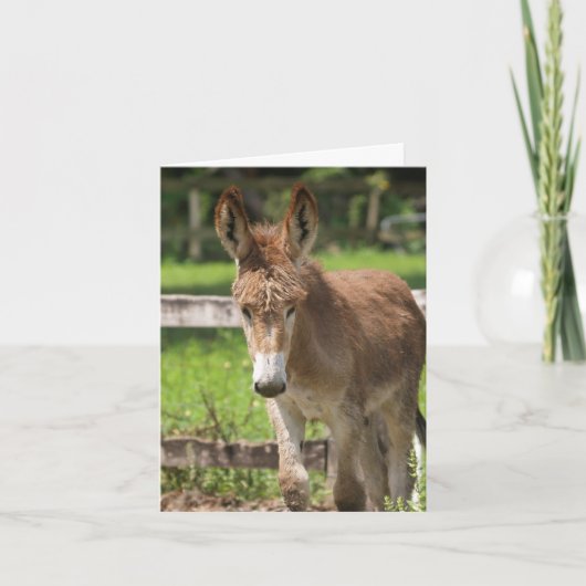 P6038047 カード (正面)