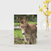 P6038047 カード (黄色い花)