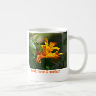 P6193311のおはようの日光 コーヒーマグカップ