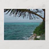 P6240185 ポストカード (正面)