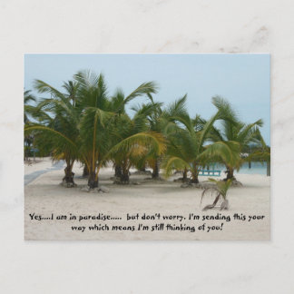 P6240208, はい...私は天国にいます...  でも... ポストカード