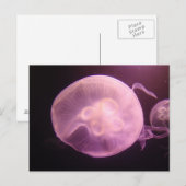 P6250304 ポストカード (正面/裏面)