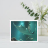 P6250309 ポストカード (スタンド正面)