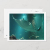 P6250309 ポストカード (正面/裏面)