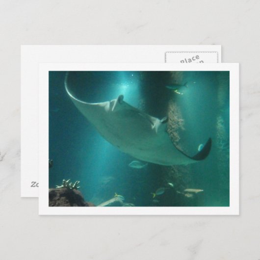 P6250309 ポストカード (正面/裏面)