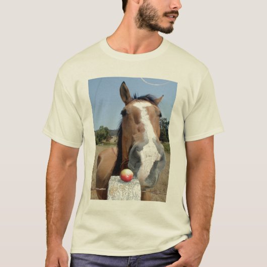 P73100DON Tシャツ (正面)