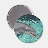 P8010404，ナッソー，バハマ マグネット (正面/裏面)