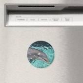 P8010404，ナッソー，バハマ マグネット (インサイチュ (食洗機))