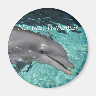 P8010404，ナッソー，バハマ マグネット