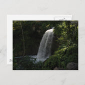 P8140044、ミンネハハ秋 ポストカード (正面/裏面)