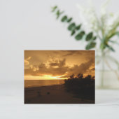 P8190542 ポストカード (スタンド正面)